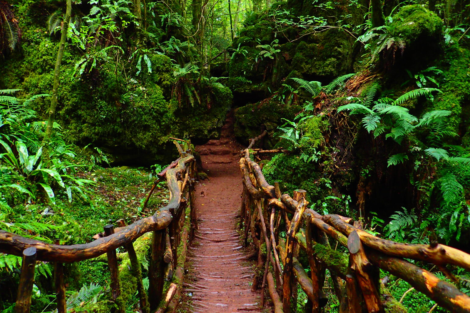 memories-of-puzzlewood-england-collector-of-experiences